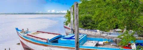 Roxanne Blog Suriname