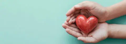 Handen met rood hart