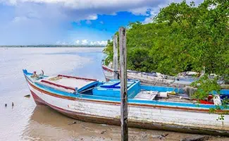 Roxanne zaalarts in Suriname