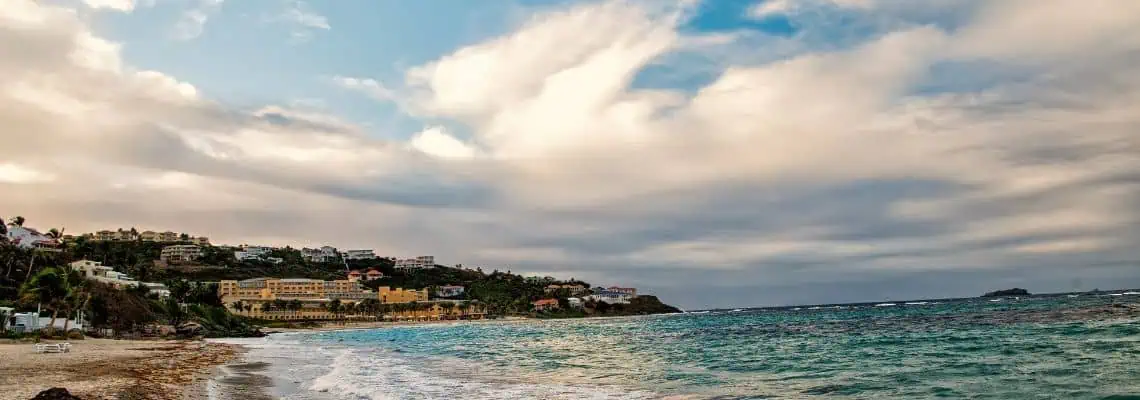 Sint Maarten zee zeewier