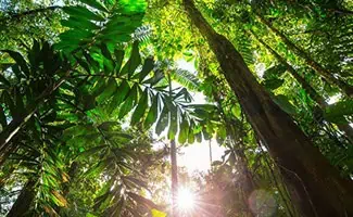 Fania van Houten over werken in Suriname