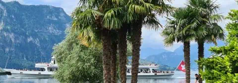 zomer zwitserland meer palmbomen